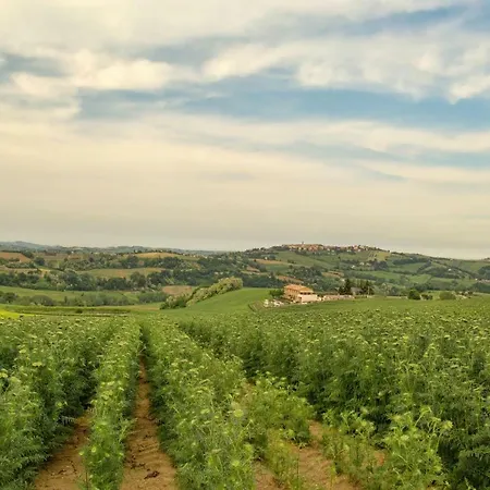 Corte Campioli & Country House