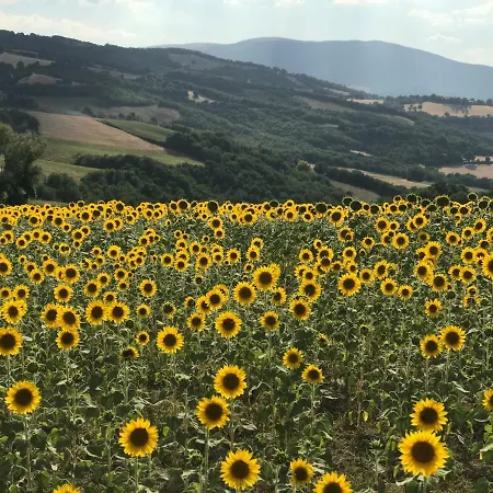 Corte Campioli & Country House Aparthotel 4*